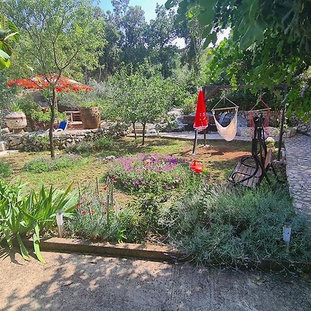 Apartments Korita Maranovići Dış mekan fotoğraf