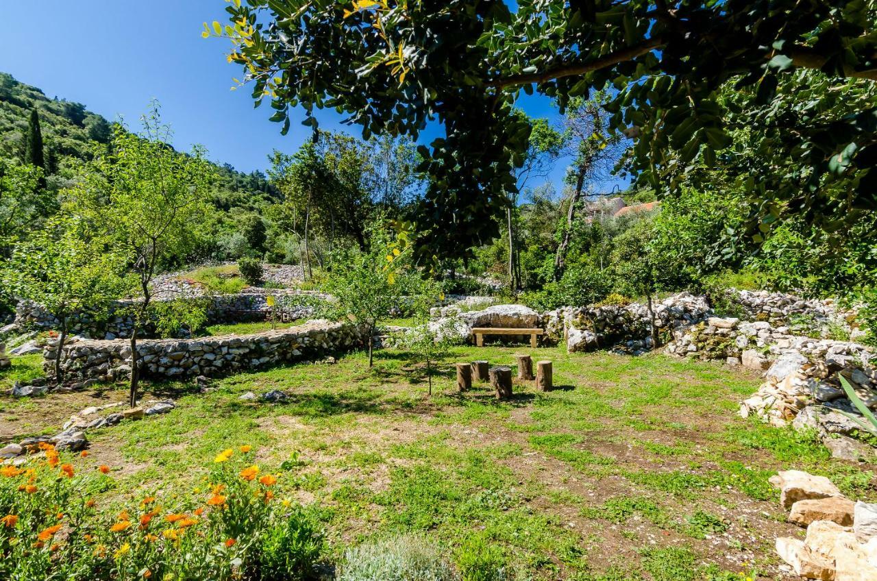 Apartments Korita Maranovići Dış mekan fotoğraf