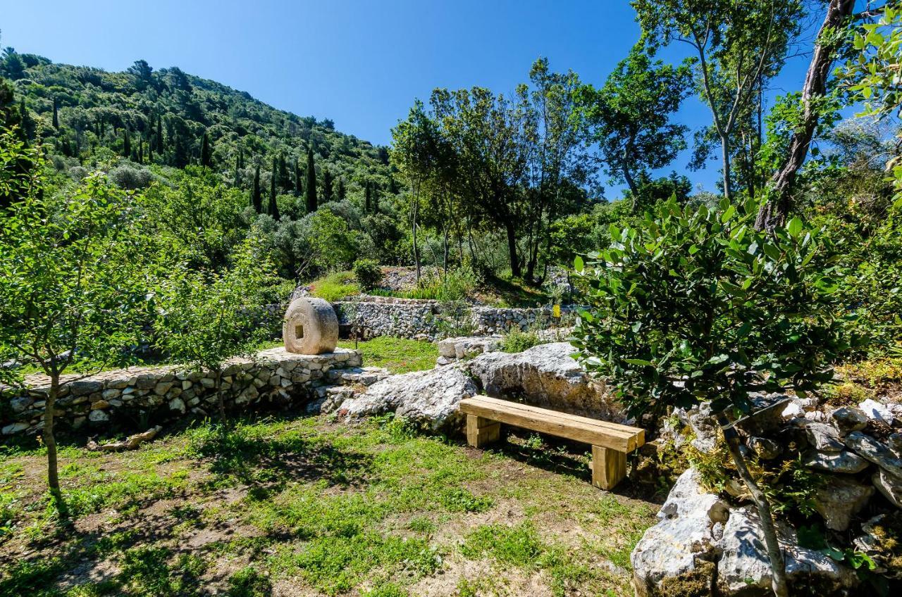 Apartments Korita Maranovići Dış mekan fotoğraf