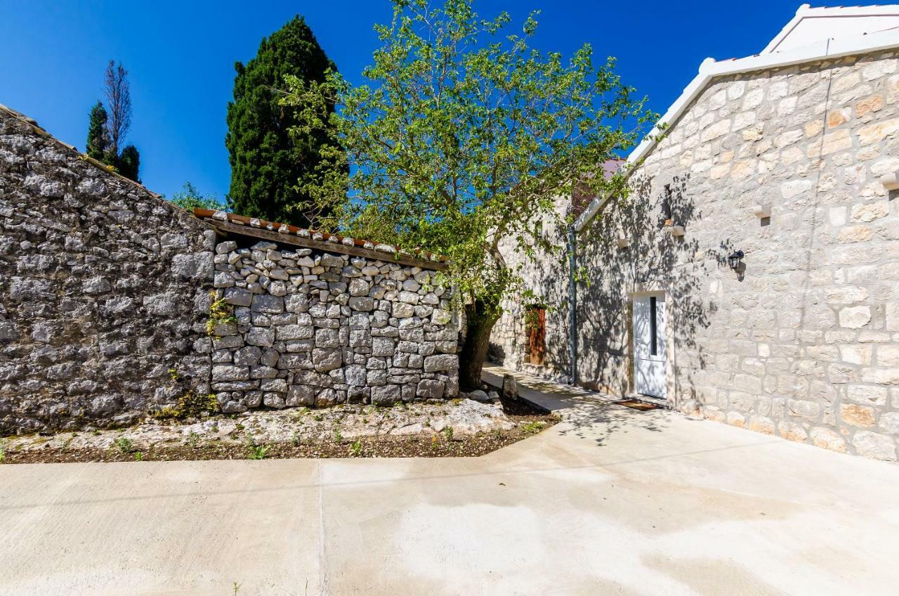 Apartments Korita Maranovići Dış mekan fotoğraf